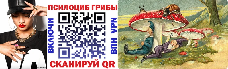 Галлюциногенные грибы Psilocybe  Абинск 