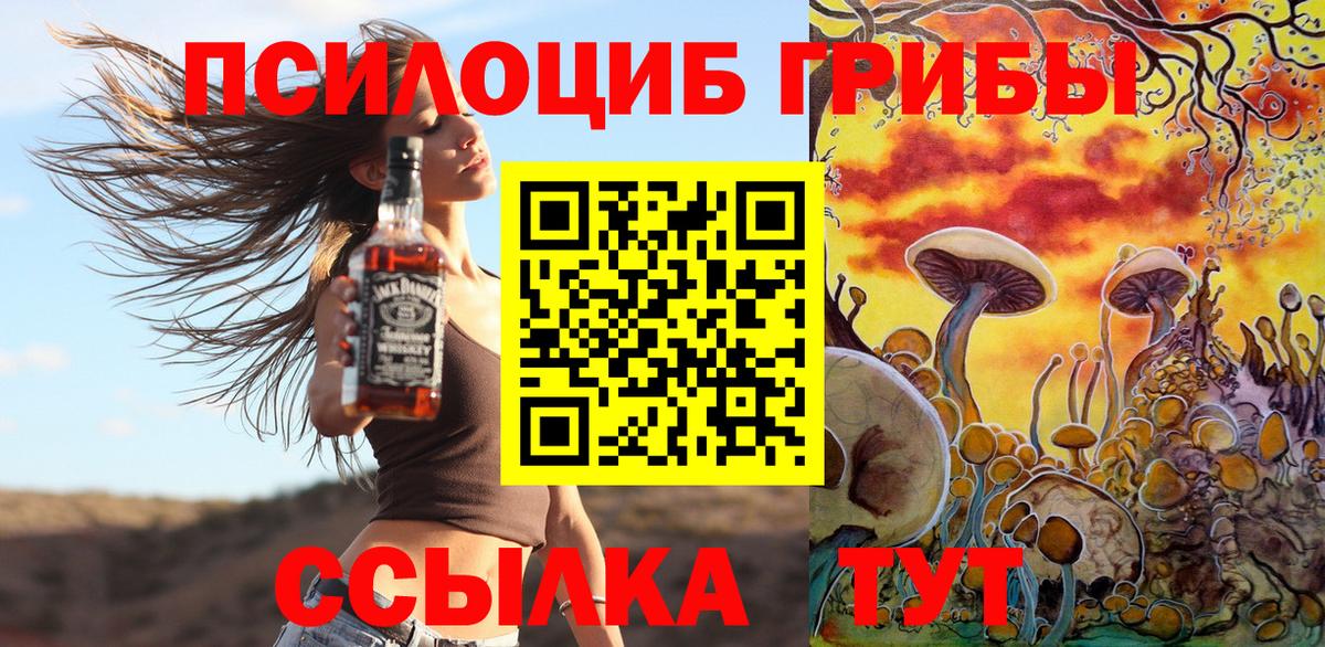 наркота  Абинск  Псилоцибиновые грибы ЛСД 