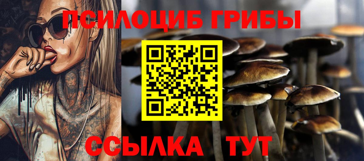 Абинск  Галлюциногенные грибы прущие грибы  Вход с VPN 